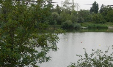 Harcsa Apartman Szolnok