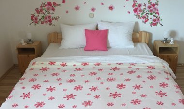 Ezo Apartman Balatonberény