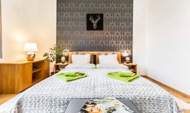Family Apartment Downtown Budapest