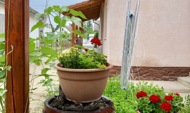 Anna és Sára Apartman Balatonboglár