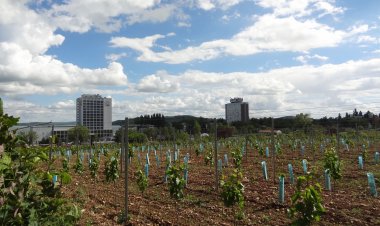 Baricska Apartman Balatonfüred