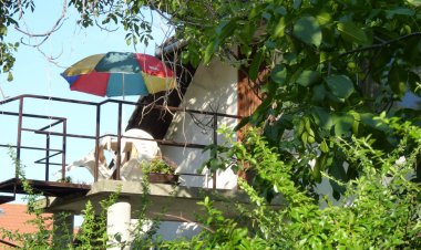 BB Park Apartman Balatonboglár