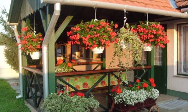 Katalin Apartman Békéscsaba