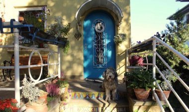 Csendes Odú Apartman Dunakeszi