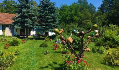 Kecskefarm Tápiószentmárton