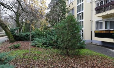 Tulip Family Apartment Eger