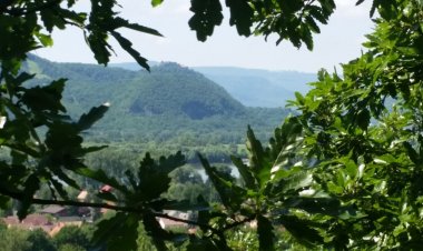Tölgyerdő Apartman Verőce
