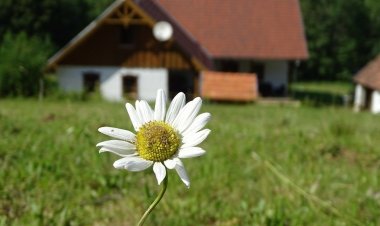 Pagony Pihenő Farm Orfalu