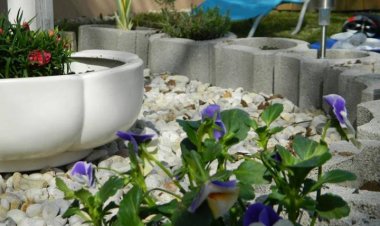 Lackó Kuckó Balatonlelle