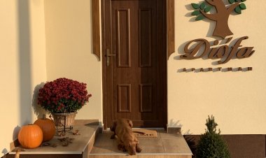 DIÓFA Apartmanház Edelény