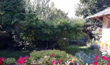 Botond Apartman Siófok