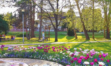 Park Terasz Apartman Zalakaros
