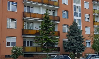 Kuckó Apartman Veszprém