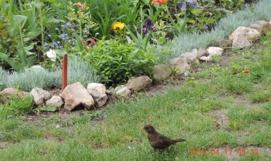 Anna Vára Apartman Eger