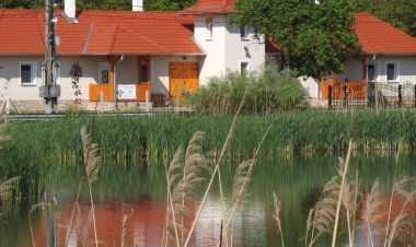 Nagybajcsi Körtefa Vendégház-Apartmanok