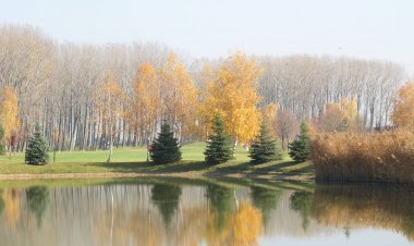 Pálya Apartman Bükfürdő