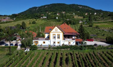 Bacchus Apartman - Borbarlang Vinotéka Badacsony