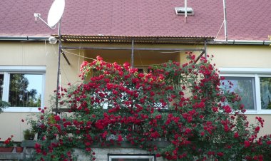 Varga Apartman Siófok-Kiliti