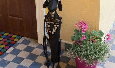 Hédi Apartman Miskolc