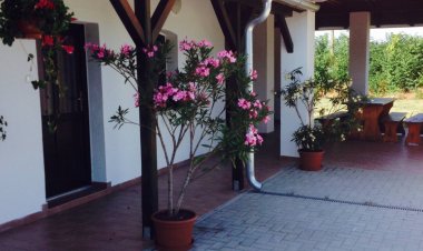 Jázmin Vendégház Homokbödöge