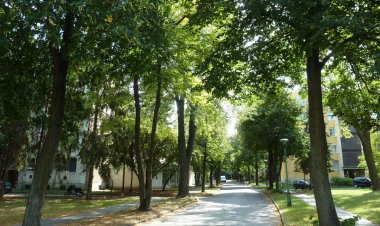 Knédli Apartman Miskolc