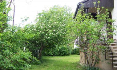 Laura Apartman Badacsony