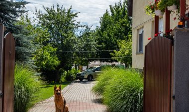 Muskátli Apartman Paks