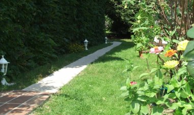 Vadszőlő Vendégház Cák