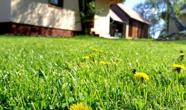 Őrségi Lak-Tanya Viszák