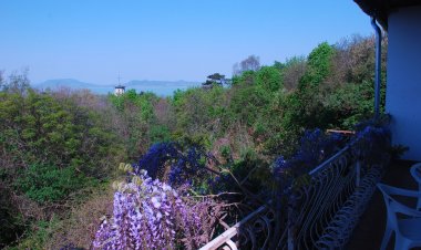 Kilátó IV Apartman Balatonboglár