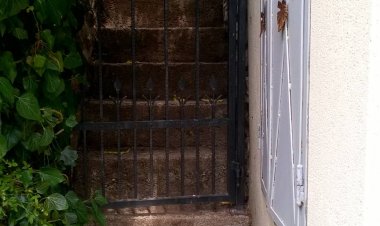 Vadszőlő Apartman Paloznak