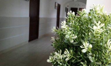 River Apartmanház Jászberény