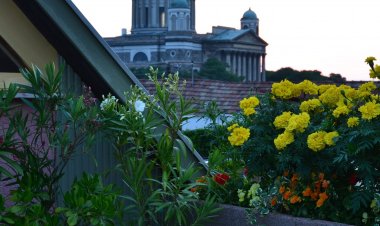 Szent Tamás-hegyi Apartman Esztergom