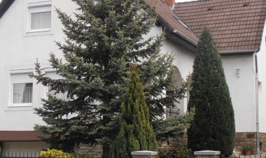 Ulrich Apartman Tihany