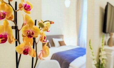 Eden Center Home Győr