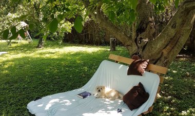 Rustic Home Apartman Etyek