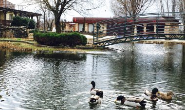 Horváth Apartman Cserkeszőlő