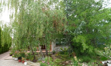 Mara Apartman Vonyarcvashegy