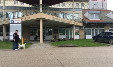 Mónika Apartman Cserkeszőlő