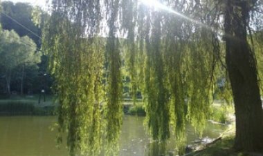 Tópart Apartman Borsodnádasd