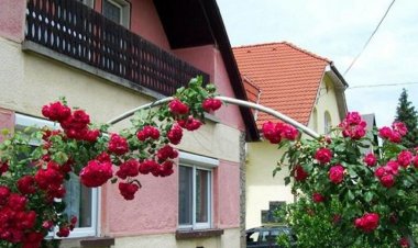 Panni Néni Apartman Balatonboglár