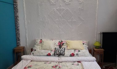 Esőerdő Apartman Eger