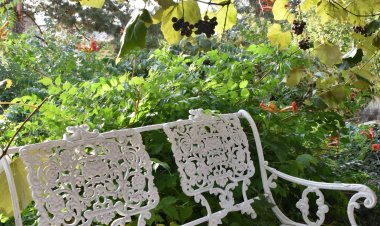 Lugas Apartman Miskolctapolca