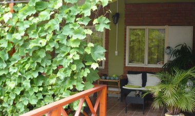 Ravasz Apartman Balatonboglár