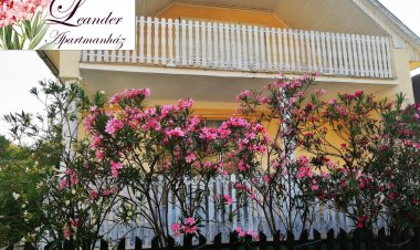 Leander Apartman Csokonyavisonta