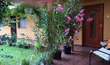 Békaváros Apartman Bakonybél