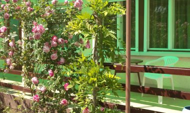 Babóca Apartman Hajdúszoboszló