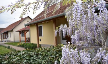 Akácvirág Apartman Mórahalom