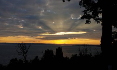 Rick Apartman Balatonaliga