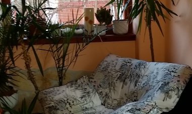 Boris Apartman Gyula